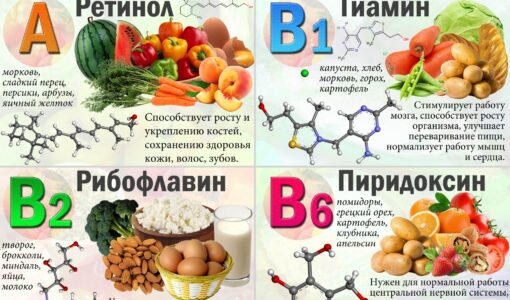 Растения, богатые витаминами и минералами для поддержания здоровья