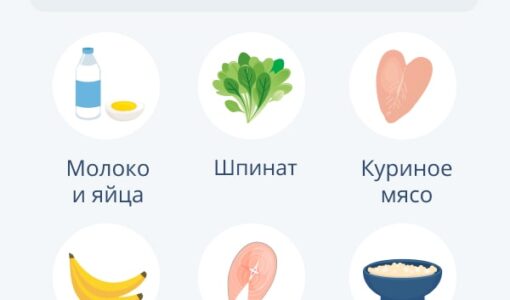 Питательные элементы для поддержания идеального веса